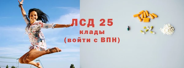 ешки Корсаков