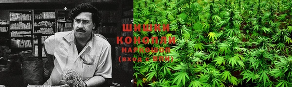 прущая мука Костерёво