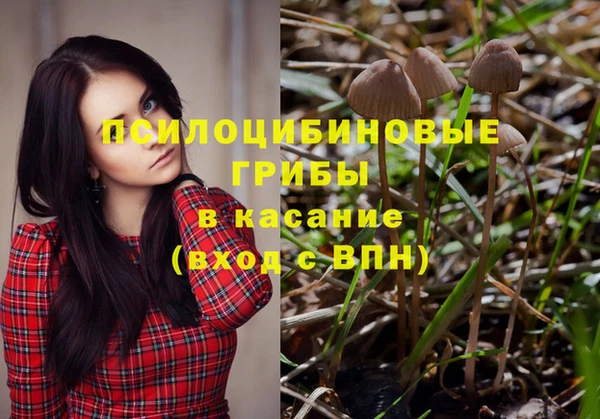 гашик Краснотурьинск