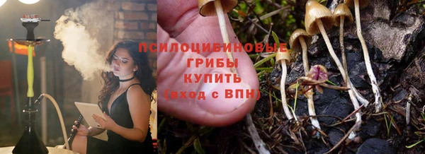ешки Корсаков