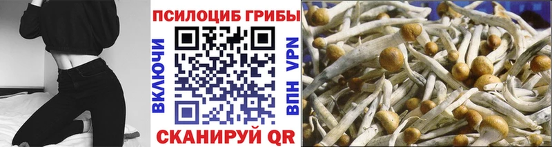 Псилоцибиновые грибы Magic Shrooms  Купить где  Всеволожск 